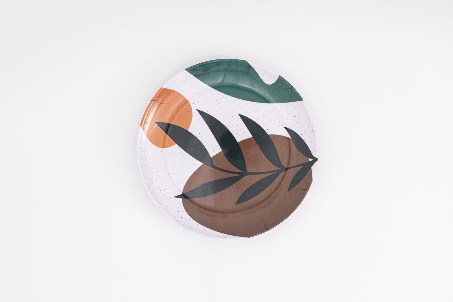 Dinner Plate  Set of ( 6 pieces )