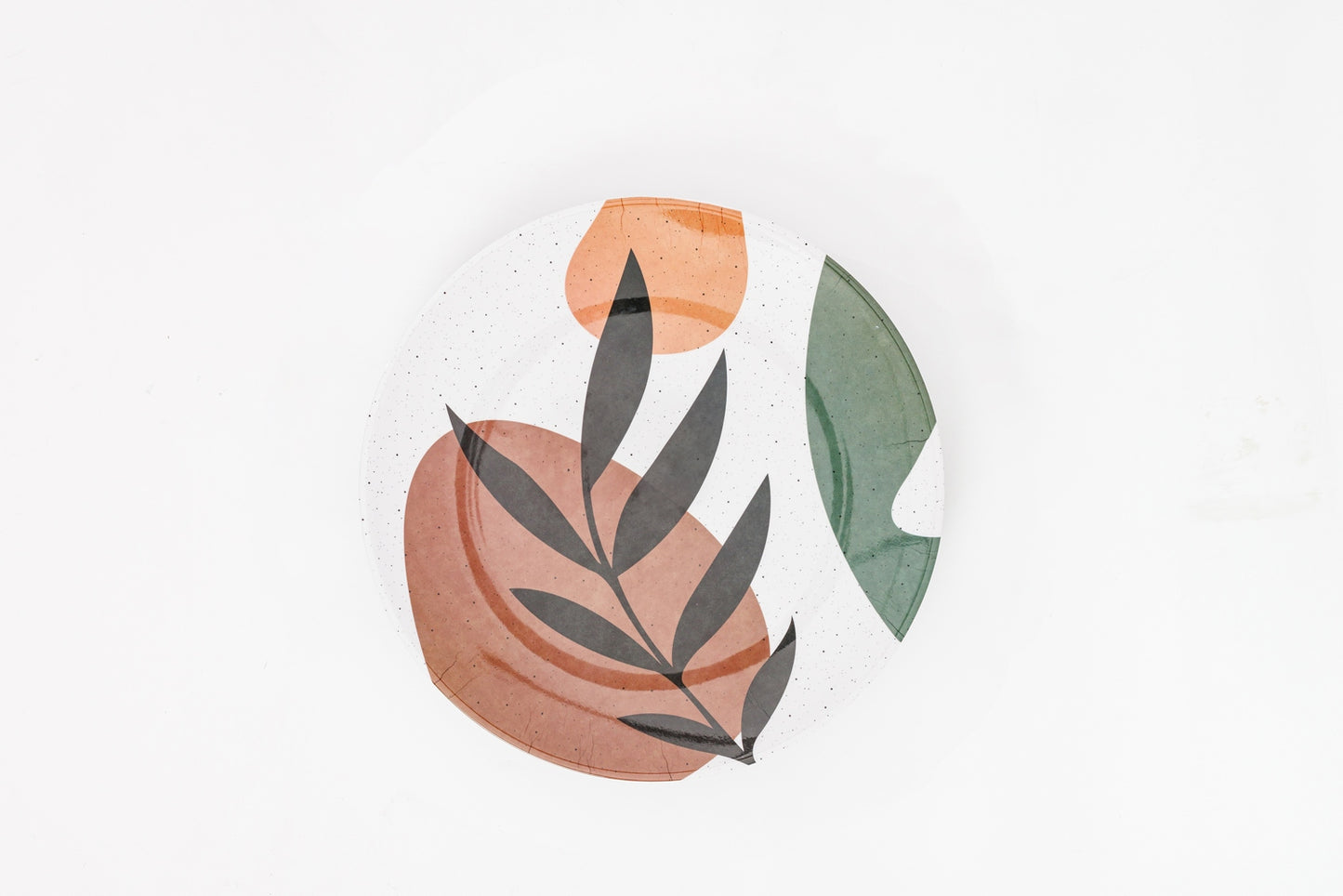 Dinner Plate  Set of ( 2 pieces )