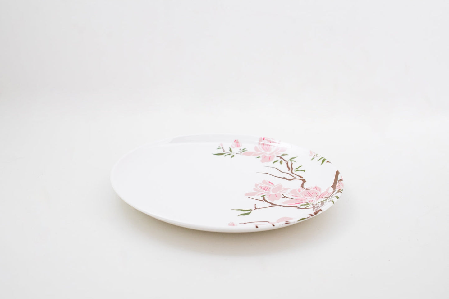 Dinner Plate  Set of ( 6 pieces )
