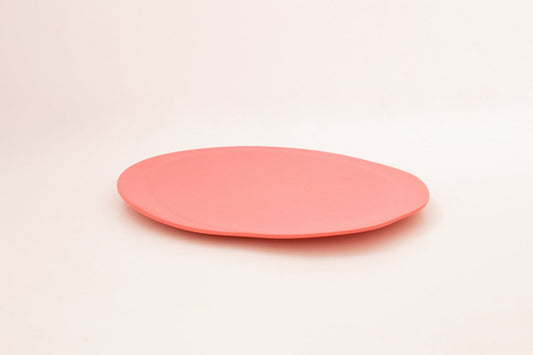 Matt Dinner Plate Set of  ( 6 pieces )